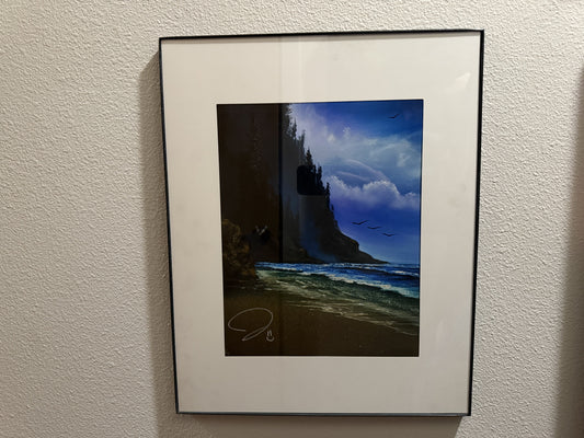 Poster Print- Gallery Print Signed - 16x20 Frame Matted to 11x14 - Heceta Head Cove